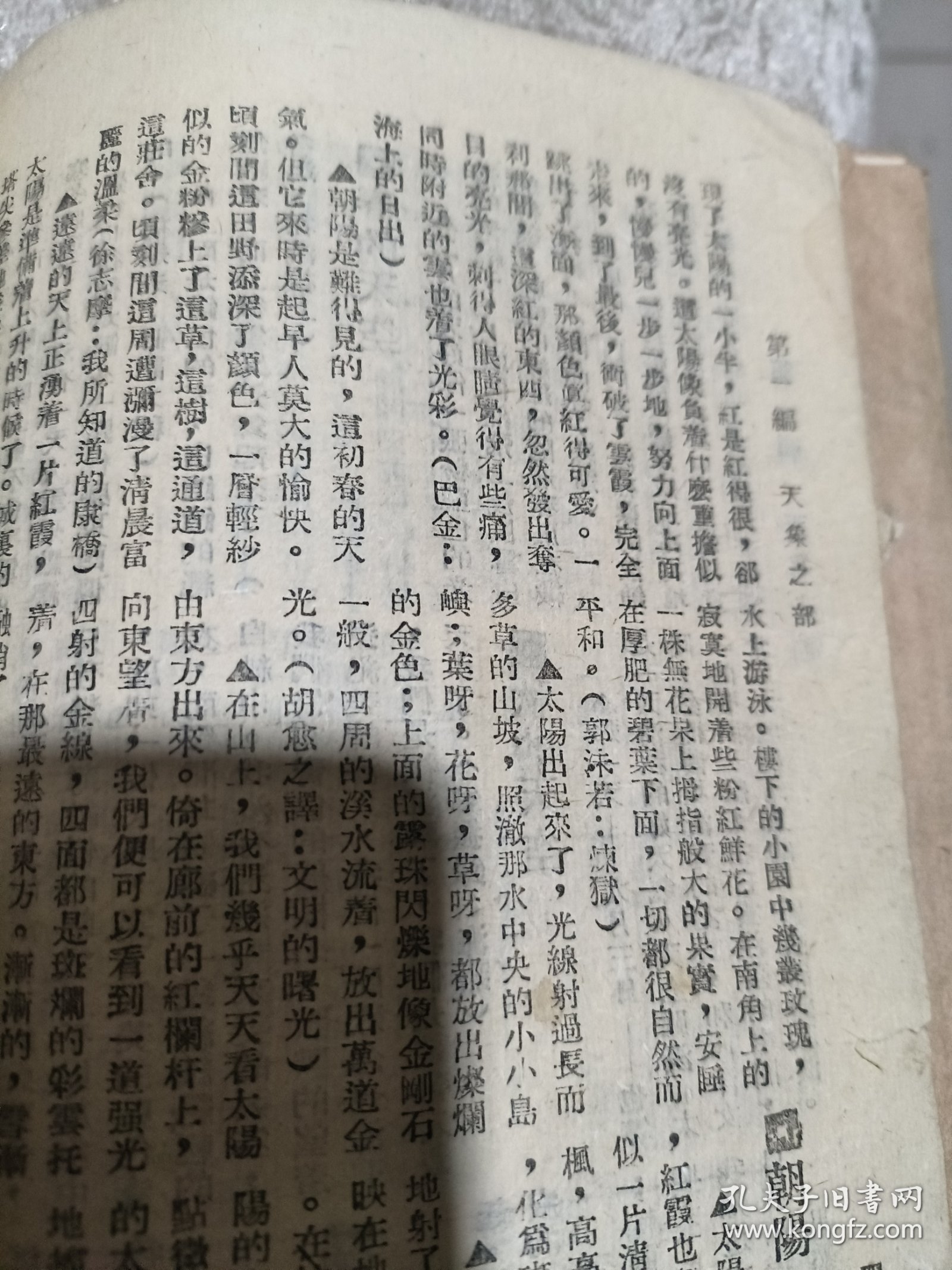作文描写字句新辞典