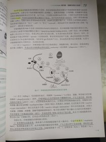 医学微生物学