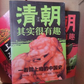 清朝其实很有趣