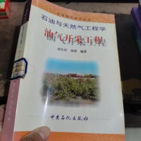 油气开采工程——中国现代科学全书石油与天然气工程学