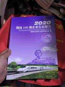 2020湖南100强企业发展报告