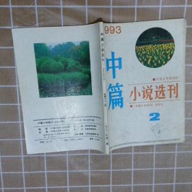 中篇小说选刊  1993 2