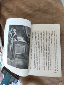 翻译小说，天才下册