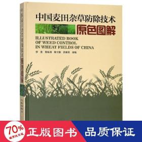 中國(guó)麥田雜草除技術(shù)原圖解 種植業(yè) 李美