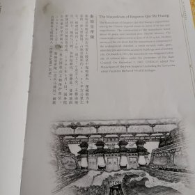 让文物活起来 兵马俑（平装）