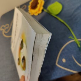 地理信息系统理论与应用丛书：Surfer 10地学计算机制图