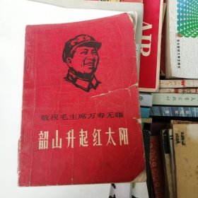 韶山升起红太阳