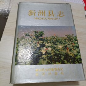 新洲县志