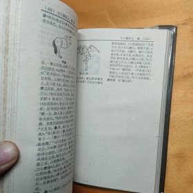 中国神话传说词典 32开精装 85年一版一印