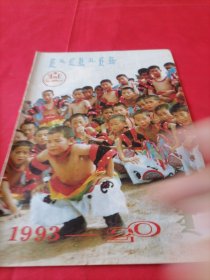 1993年花蕾