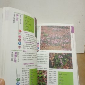 花卉圣经