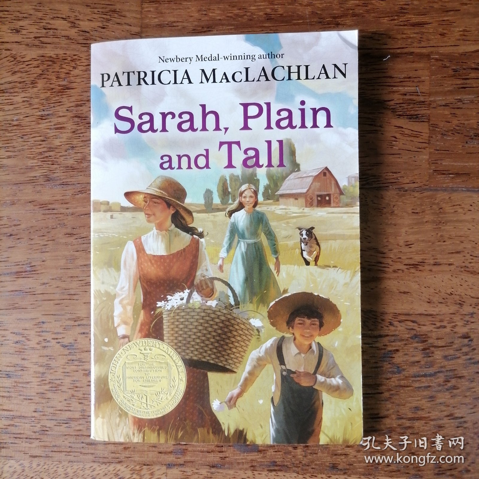 Sarah Plain and Tall高大平凡的萨拉 英文原版