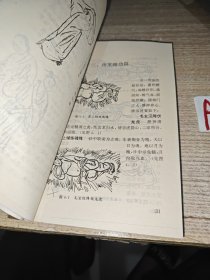 玉房按摩养生（内附房室功法、房室按摩、房室点穴、房室养生、房室回春。并有房中补益、中药饮食调理法、男病、女病疗理、固本八论、理气通精。）