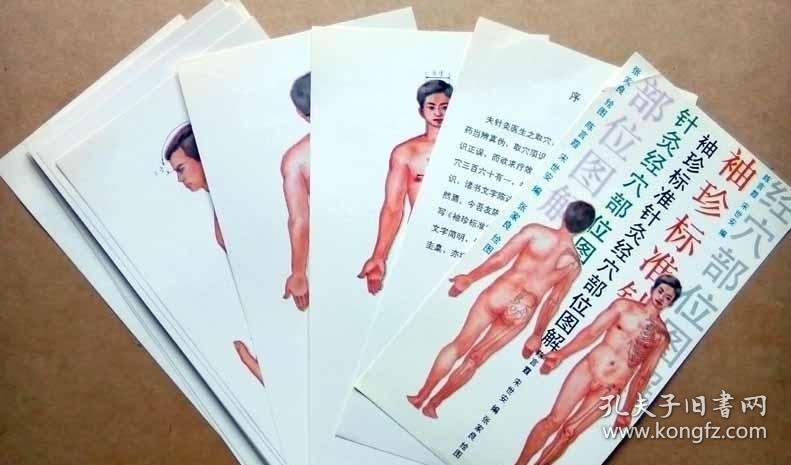 袖珍标准针灸经穴部位图解
（活页袋装全40张，图解共38幅）