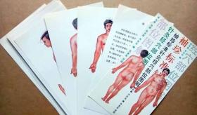 袖珍标准针灸经穴部位图解
（活页袋装全40张，图解共38幅）