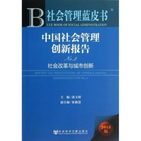 中国社会管理创新报告