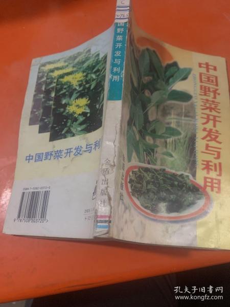 中国野菜开发与利用