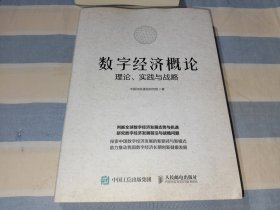 数字经济概论 理论,实践与战略