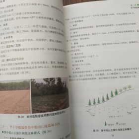 旱区造林绿化技术模式选编