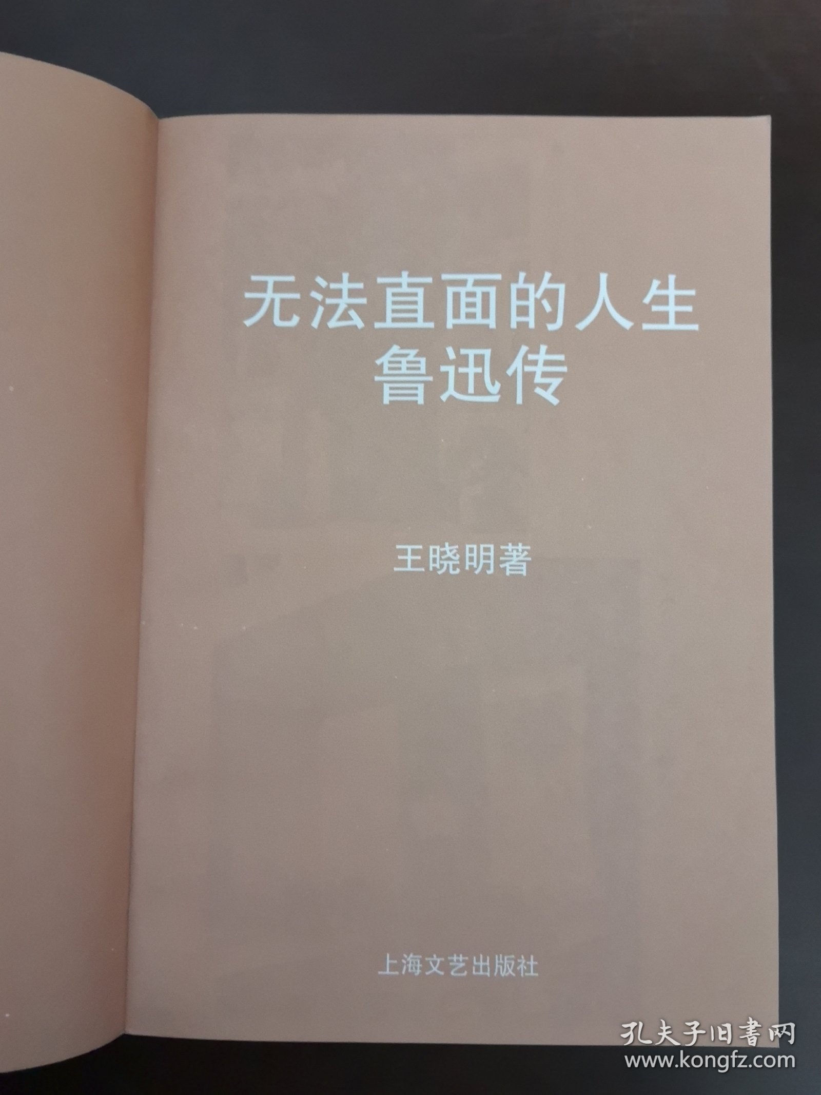 无法直面的人生：鲁迅传