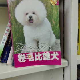卷毛比雄犬