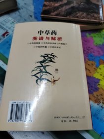 中草药图谱与解析