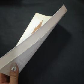 华东政法大学校庆六十周年纪念文丛：公共外交的危机反应·以灾难为媒介的视角
