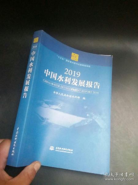 2019中国水利发展报告