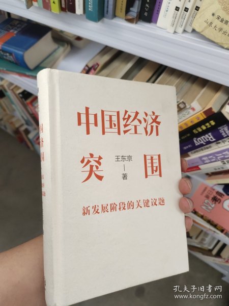 中国经济突围