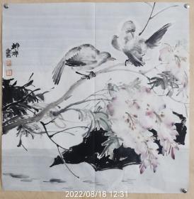 泰安美协副主席柳涛老师精品花鸟作品