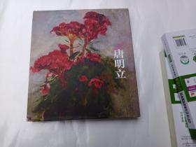 TANGMINGLI 唐明立画集  精装