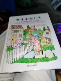 信谊绘本世界精选图画书：驴小弟变石头