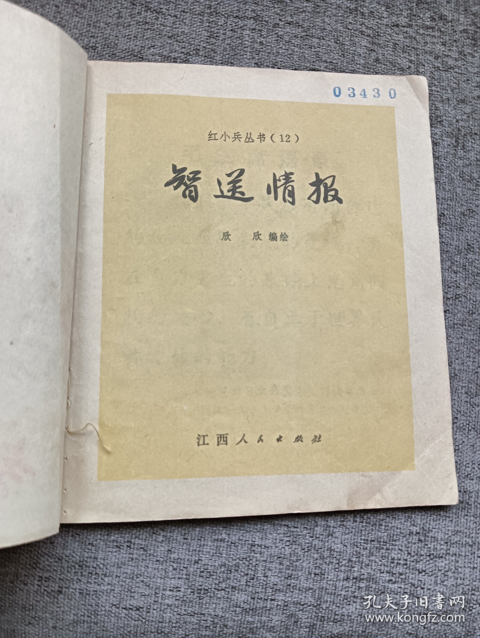 智送情报（红小兵丛书）