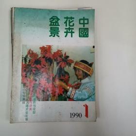 中国花卉盆景（1990年12期全7，8月合刊）