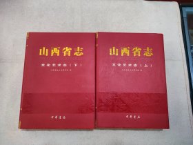 山西省志文化艺术志上下全