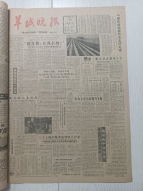 羊城晚报，1984年1月21日，鳌头成为蘑菇之乡，红花还需绿叶衬行家谈服装与饰物的配套，