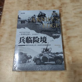 兵临险境 : 德军1942年11月—1943年3月的最后反扑