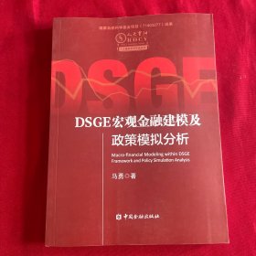 DSGE宏观金融建模及政策模拟分析