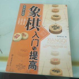 象棋入门与提高