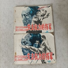 失去权力的将军(上下册)