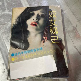 妓女秘史