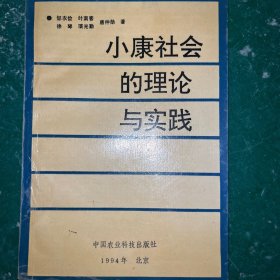 小康社会的理论与实践