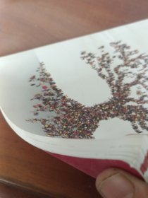 反思教育：向“全球共同利益”的理念转变？