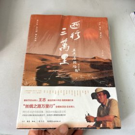 西行三万里：王志看丝路有压痕见图
