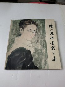 杨之光水墨写生集