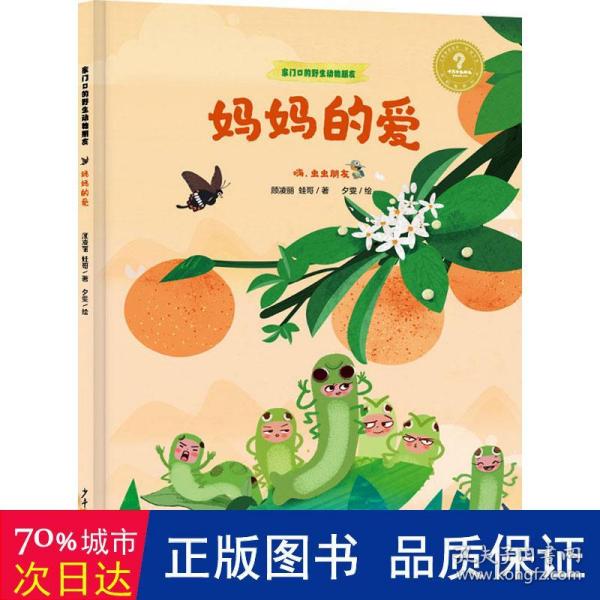 家门口的野生动物朋友 妈妈的爱——嗨，虫虫朋友