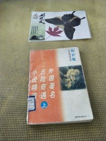 外国著名历险奇遇小说精选(上)