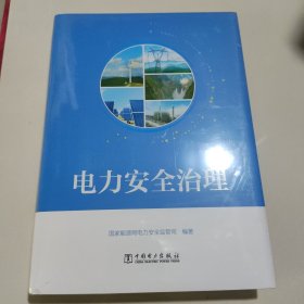 电力安全治理