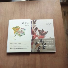 掉伞天+桃花井