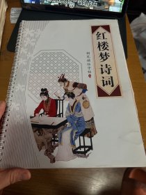 红楼梦诗词钢笔描临字帖   2个夹子，大约50张印纸